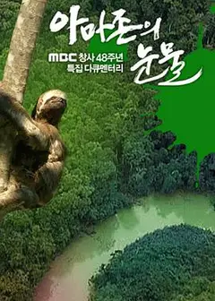 亚马逊的眼泪