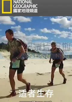 适者生存第一季