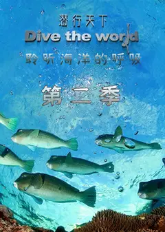 潜行天下 第二季