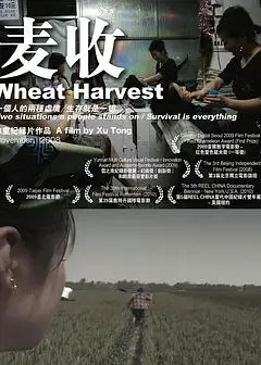 麦收