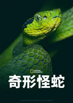 奇形怪蛇