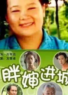 胖婶进城
