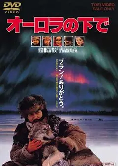 极光下
