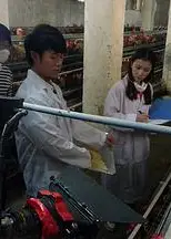 我和教授“羊粪豆”