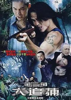 大追捕2008