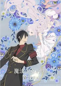 魔法少女与恶曾是敌人。