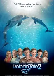 海豚的故事2