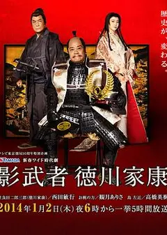 影武者德川家康