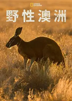 野性澳大利亚