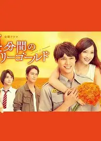 四分钟的金盏菊