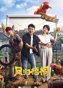 凤归梧桐
