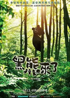 黑熊来了