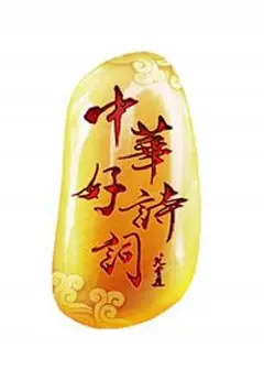 中华好诗词大学季第二季